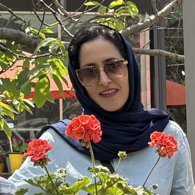 Samira Afarinesh