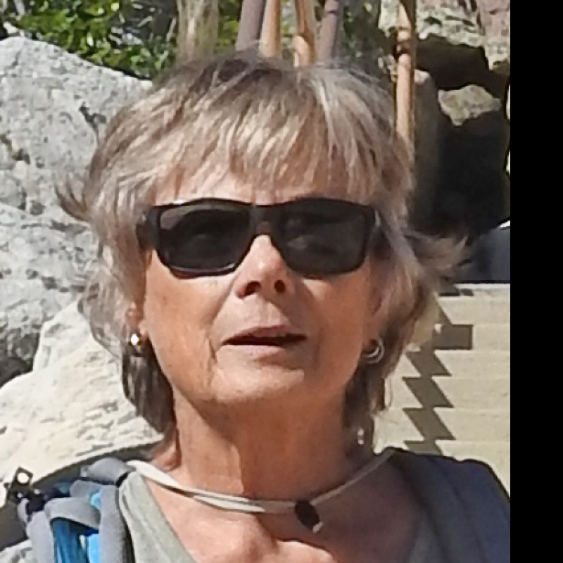 Jane Fritz