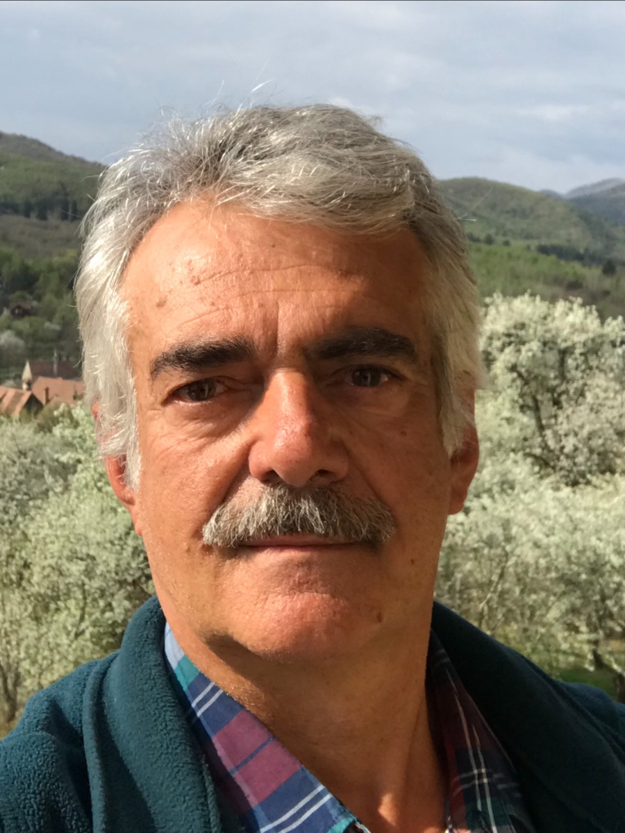 Liviu Ovidiu Harja