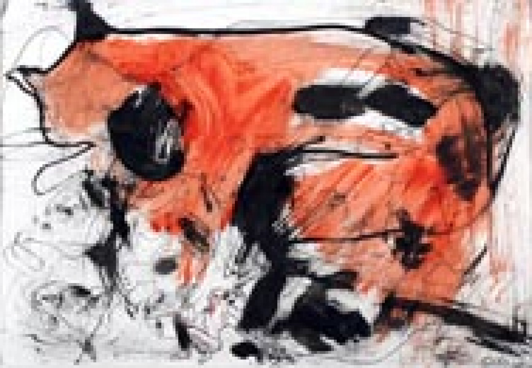 Catz Hilda Clelia