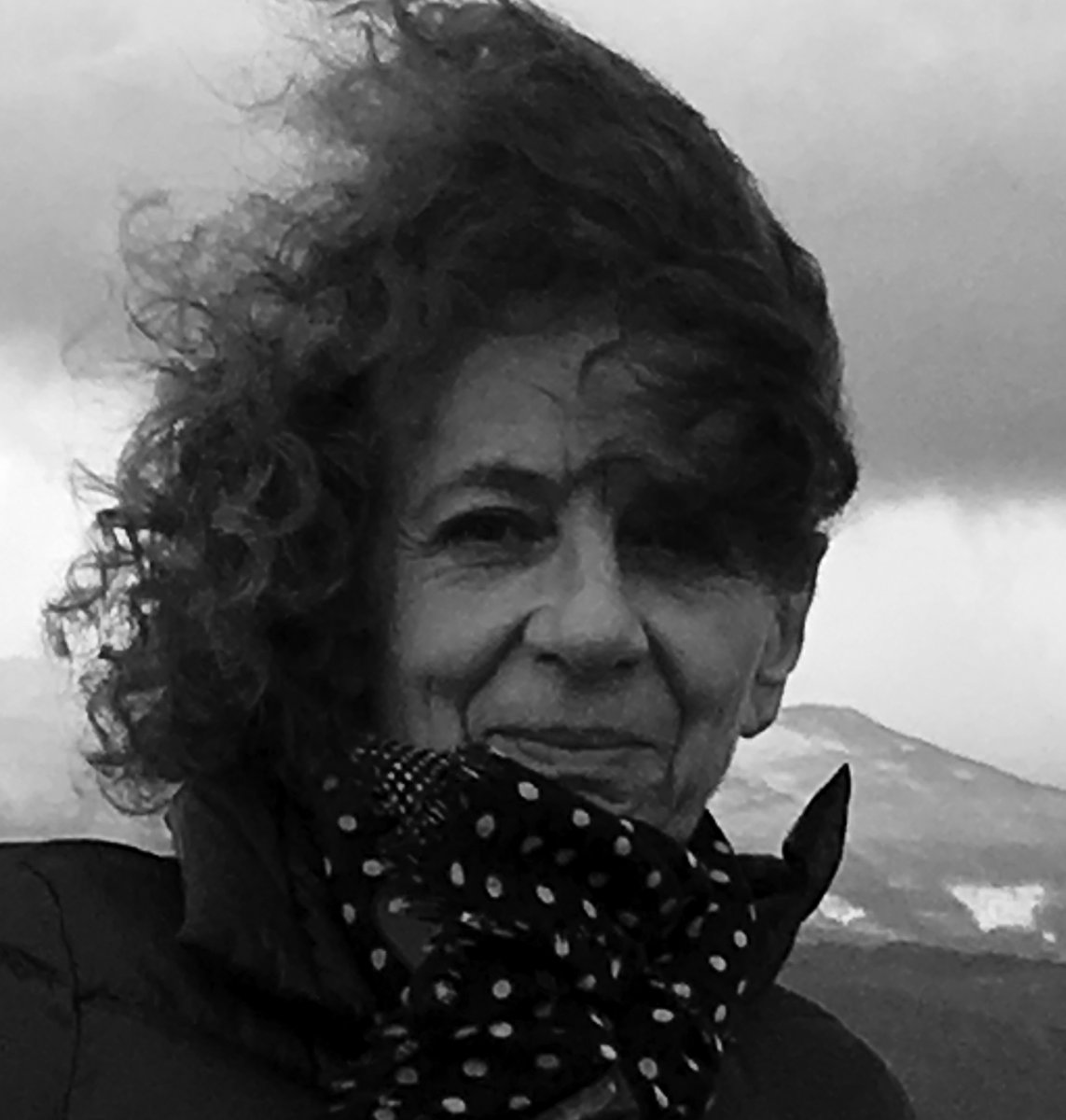 Luisa Gibellini