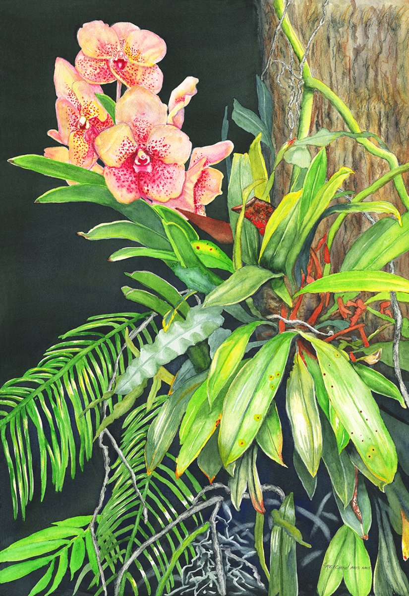 Christine Reichow